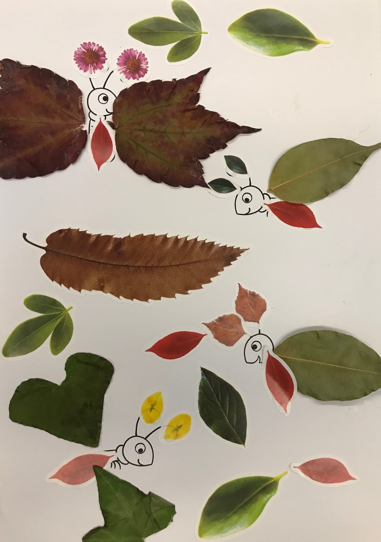 C0253 * Leaf Art – Catalog Caramel